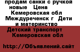 продам санки с ручкой новые › Цена ­ 1 000 - Кемеровская обл., Междуреченск г. Дети и материнство » Детский транспорт   . Кемеровская обл.